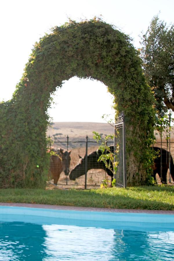 Monte Da Contenda Campo Maior Exterior foto